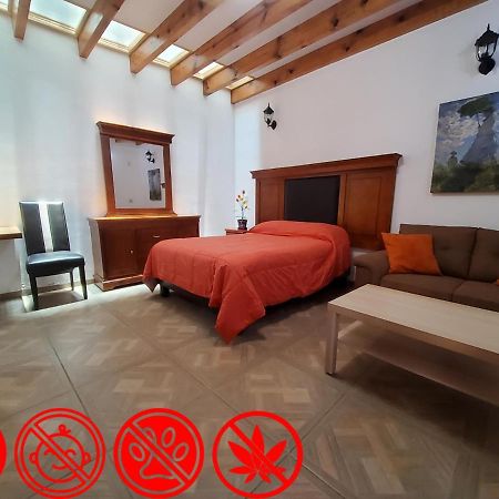 Villa Alfonsina Meksyk Zewnętrze zdjęcie